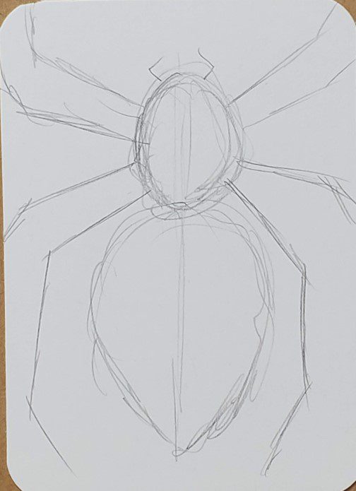 How-to-Draw-a-Spider-Using-Shapes