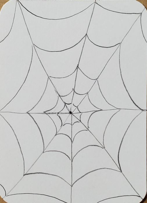 spider web with spider drawing