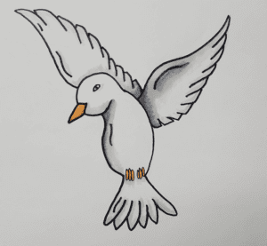 How To Draw An Easy Dove (step By Step) - Art By Ro