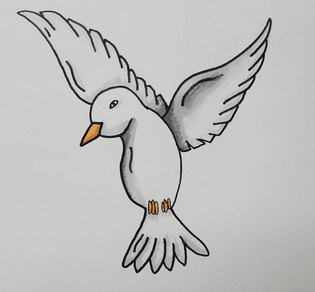 How-to-Draw-an-Easy-Dove-Color