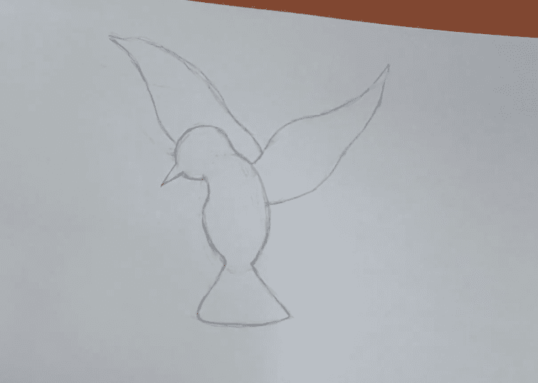 How-to-Draw-an-Easy-Dove-Simple-Sketch