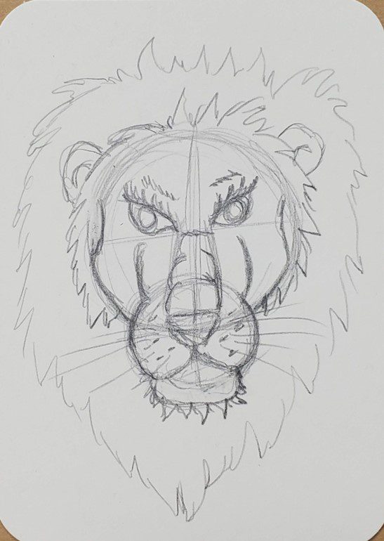 lion drawing step by step