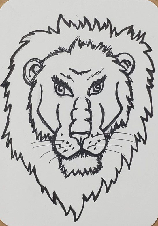 LION HEAD LINE ART DRAWING ILLUSTRATION Stock Illustration - Illustration  of emblem, mammal: 89425497