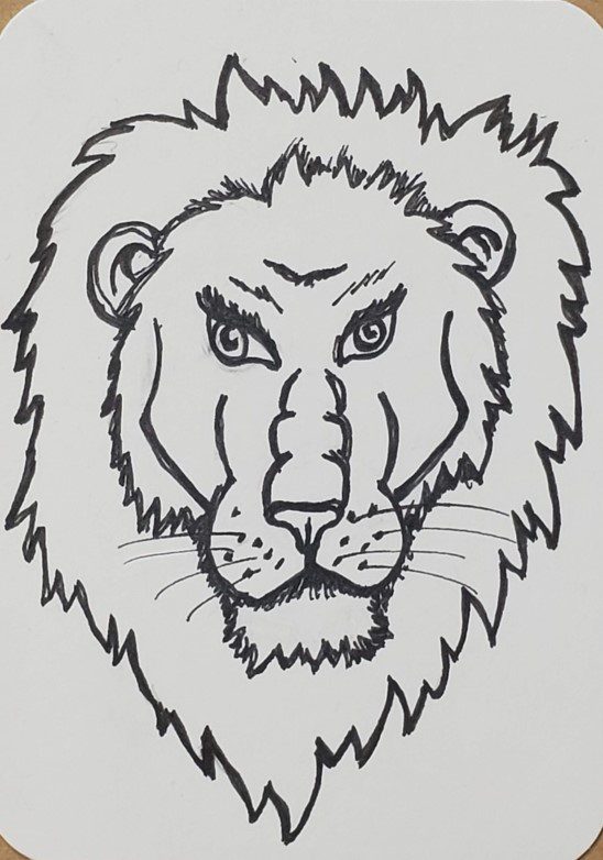 simple lion drawings in pencil