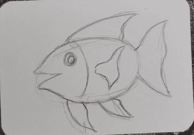 Mola-Drawing-Tutorial-Fish