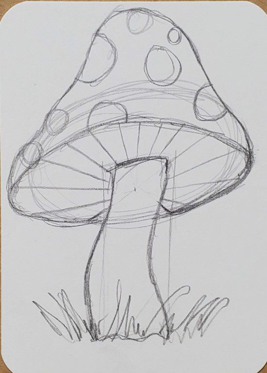Mushroom-Drawing