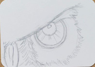 Sketch Eye Drawing For Kids - Easy Eye Drawing Tutorial-sonthuy.vn