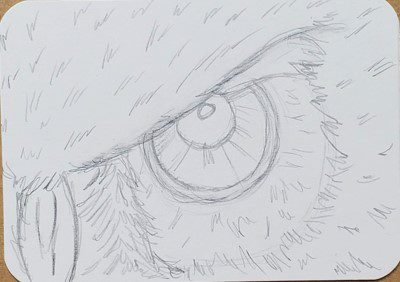 Owl-Eye-Drawing-With-Texture
