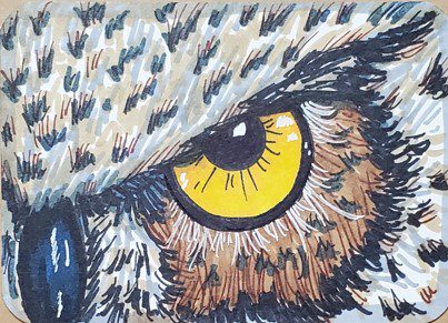 Owl-Eye-Drawing-with-Markers