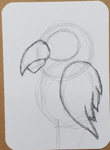 Parrot Drawing Tutorial - How to draw Parrot step by step