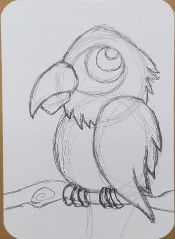 Parrot Drawing Toes