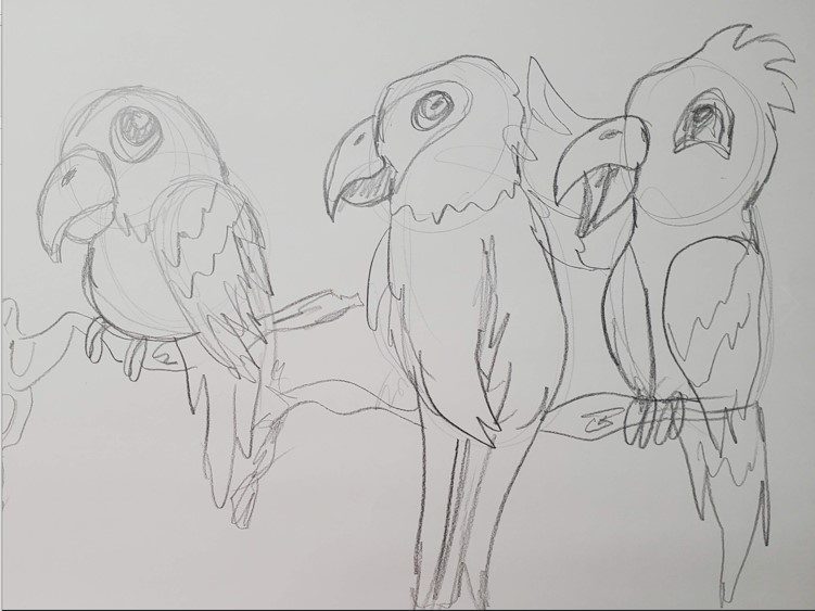 Doodle Parrot sketch in vector. Line drawing of parrot pet concept 29761669  Vector Art at Vecteezy