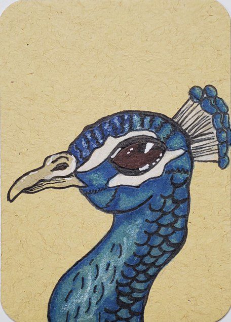 Peacock-Drawing-with-Marker