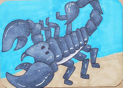 Scorpion-Drawing