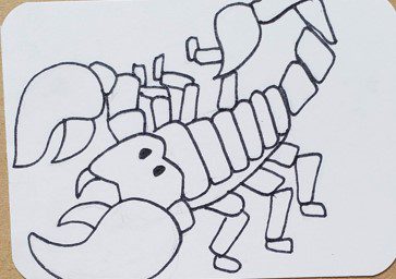 Scorpion-Outline