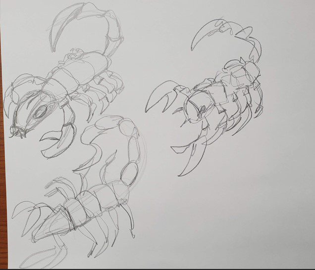 How to Draw a Scorpion – Timed Drawing Exercise