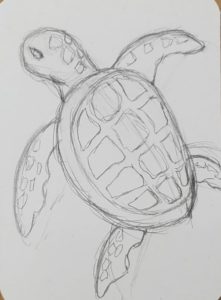 How to Draw a Sea Turtle | Easy Art Tutorial - Art by Ro