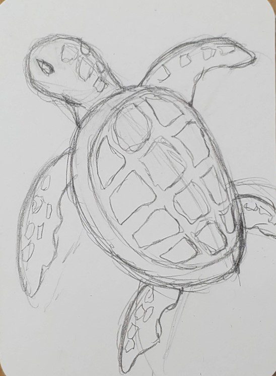 How To Draw A Simple Sea Turtle