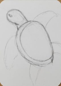 How to Draw a Sea Turtle | Easy Art Tutorial - Art by Ro