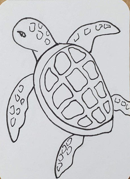 How to Draw a Sea Turtle 🤗 #seaturtle #turtorial #howtodrawaturtle | TikTok