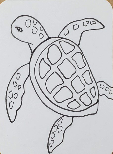 how to draw a simple sea turtle