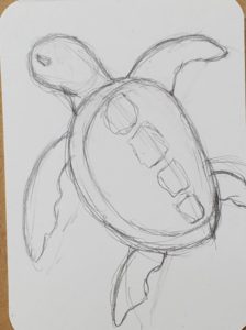 How to Draw a Sea Turtle | Easy Art Tutorial - Art by Ro