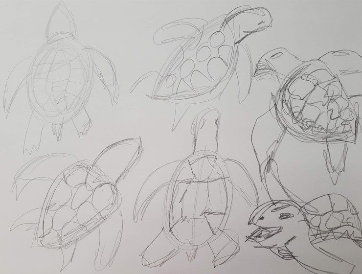 Sea-Turtle-Quick-Sketch