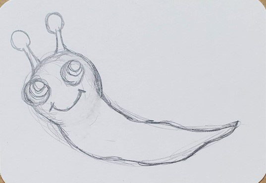 pencil drawings of a snail