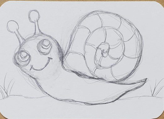 Snail-Drawing-Shell-Texture