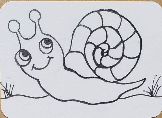 Snail-Outline