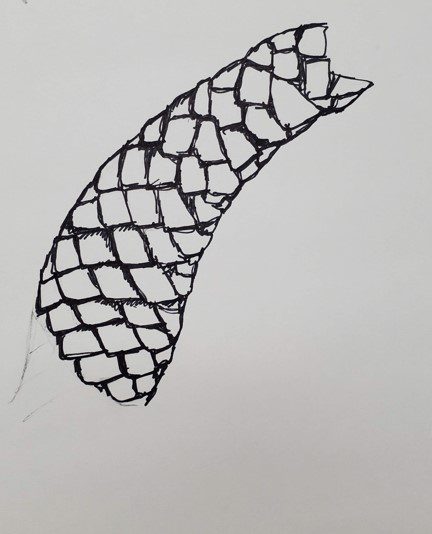 How to Draw Snake Scales with Markers - Art by Ro